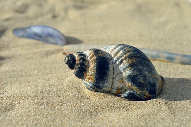 Ferieplanlægning: De største fejl – og hvordan du undgår dem